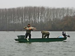 20260219_busa_martely_017