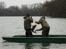 20260219_busa_martely_020