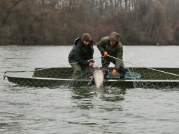 20260219_busa_martely_023