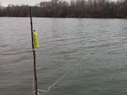 20260223_busa_martely_031