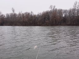 20260223_busa_martely_032