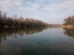 20260223_busa_martely_046