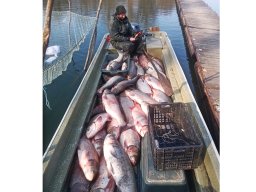 20260223_busa_martely_049