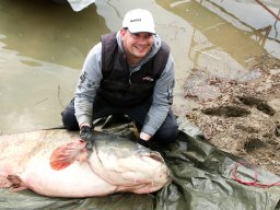 260312_aa_harcsa_web002