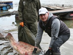 260312_aa_harcsa_web006