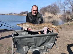 csuka_141_lajosgyorgy_2026