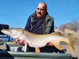 csuka_141_lajosgyorgy_2026_02