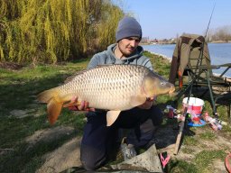 ponty_1033_polonkayadam_2026