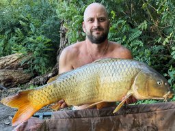 ponty_152_muratitamas_2026