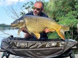 ponty_162_fabianadorjan_2026