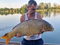 ponty_166_magonytibor_2026