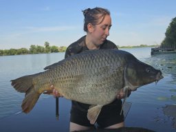 ponty_19_pigniczki_2026