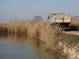 260320_pextra_007