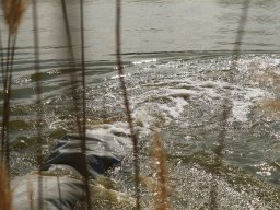 260320_pextra_009