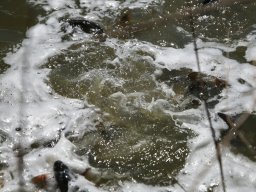 260408_p2_039
