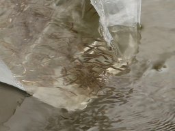 260414_csiva_013