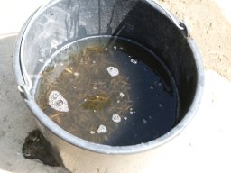 260424_me_010