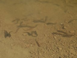 260424_me_017