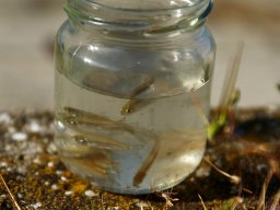260519_biva_011