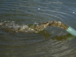 260519_biva_024