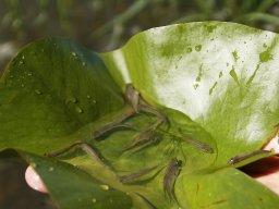 260519_biva_029