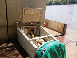 260529_p3_014