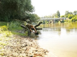 260610_jiva_017