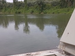 260709_szhelo_008