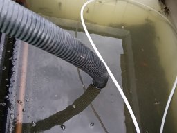 260709_szhelo_009