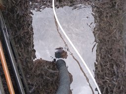 260709_szhelo_013