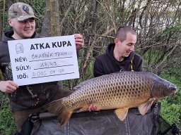 VII. Atka Kupa (Tavasz)
