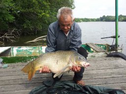 Bódi József 06.24.15,5kg