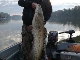 Csernak Zoltan Alsó-Tisza oktbóber_1