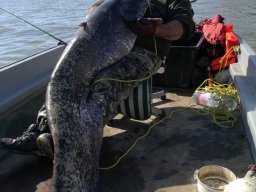 Csernak Zoltan Alsó-Tisza oktbóber_2