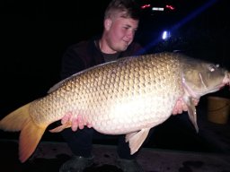 Csóti Dávid 04.10. 17 kg