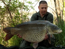 Ferenczi László 22,4 kg Atka