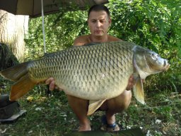 Ferenczi László 17,8 kg