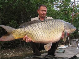 Ferenczi László 18,8 kg