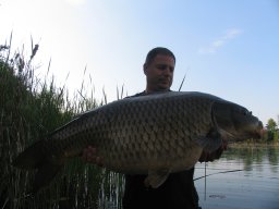 Ferenczi László 22,5 kg