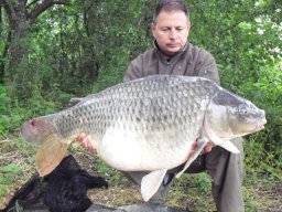 Ferenczi László májusi pontyai 2013.