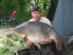 Hegyesi Gábor 19 kg