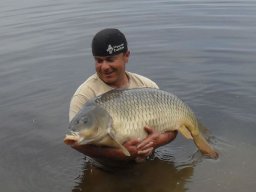 Hegyesi Gábor 23 kg