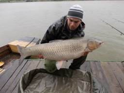 ifj. Magony Tibor 05.15. 15,3kg