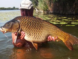 Juhász Gábor 07.23. 17,3kg_1