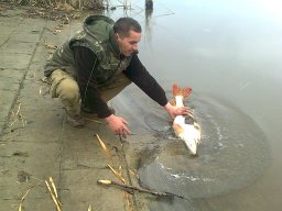 Katona László10,5 kg