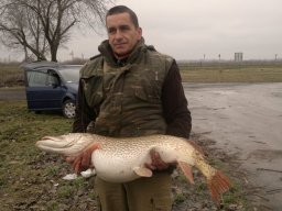 Katona László 10,5 kg