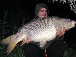 Kiss Gábor 12kg
