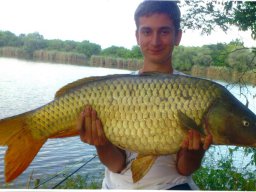 Kocis Ferenc és Rajmond ponty, amur