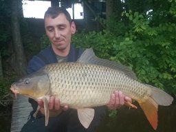 Kothencz Attila 05.15. 7,3kg