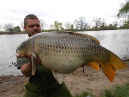 Kulcsár Norbert 04.20. 17kg